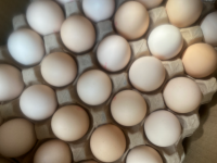 正大散蛋（一板30枚）