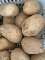 黄心土豆（10斤一份）