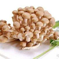 蟹味菇4斤装