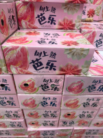 福建-红心芭乐 (小箱)