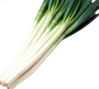 去叶净葱（捆）