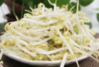 短绿豆芽（手工）