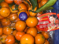 砂糖桔/小（毛重约40斤/框）