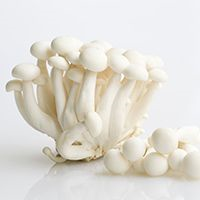 白玉菇4斤装