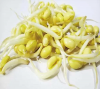 短黄豆芽（手工）