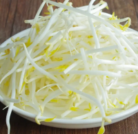 长绿豆芽（新农村）