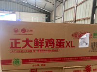正大鲜鸡蛋XL（粉壳240枚）