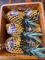 海南-金钻凤梨（12头）毛重约32斤