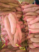 西瓜红薯（约8斤一袋）