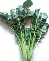 苔子菜